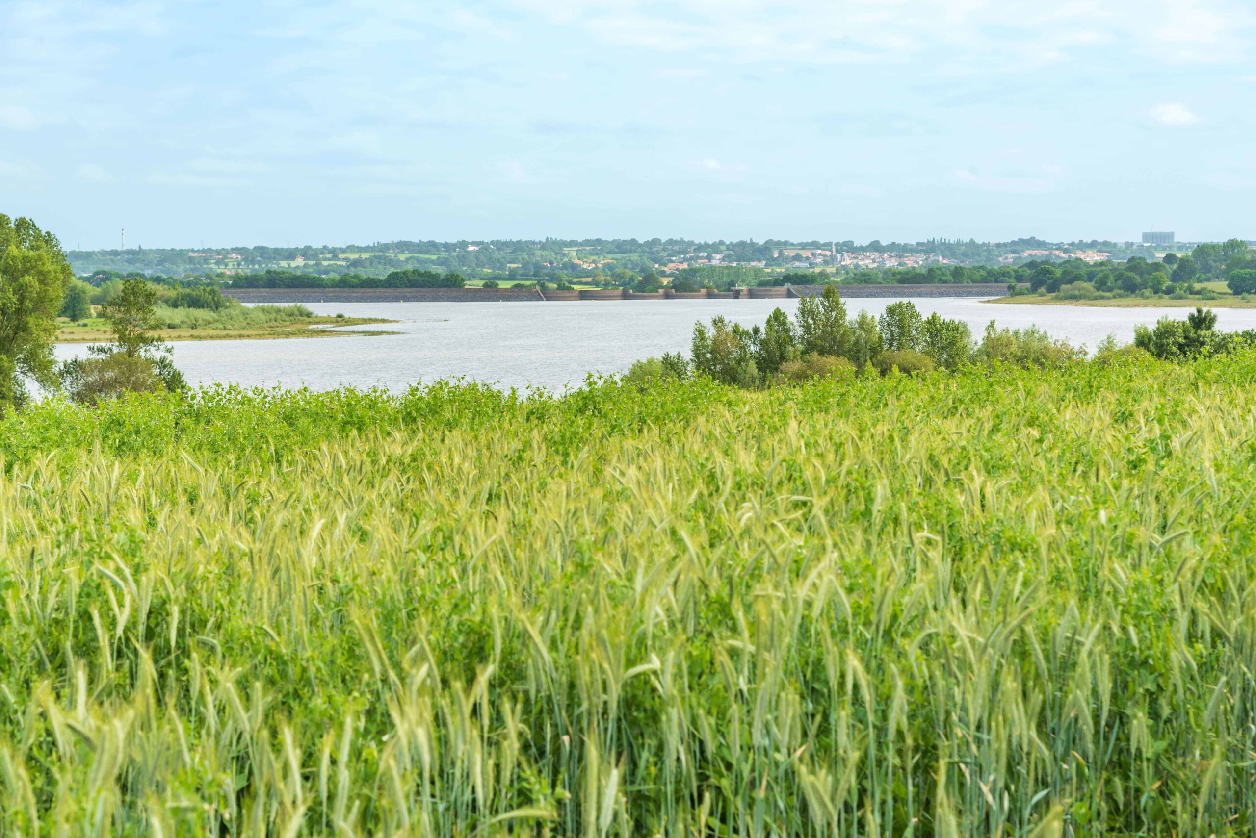 paysage choletais