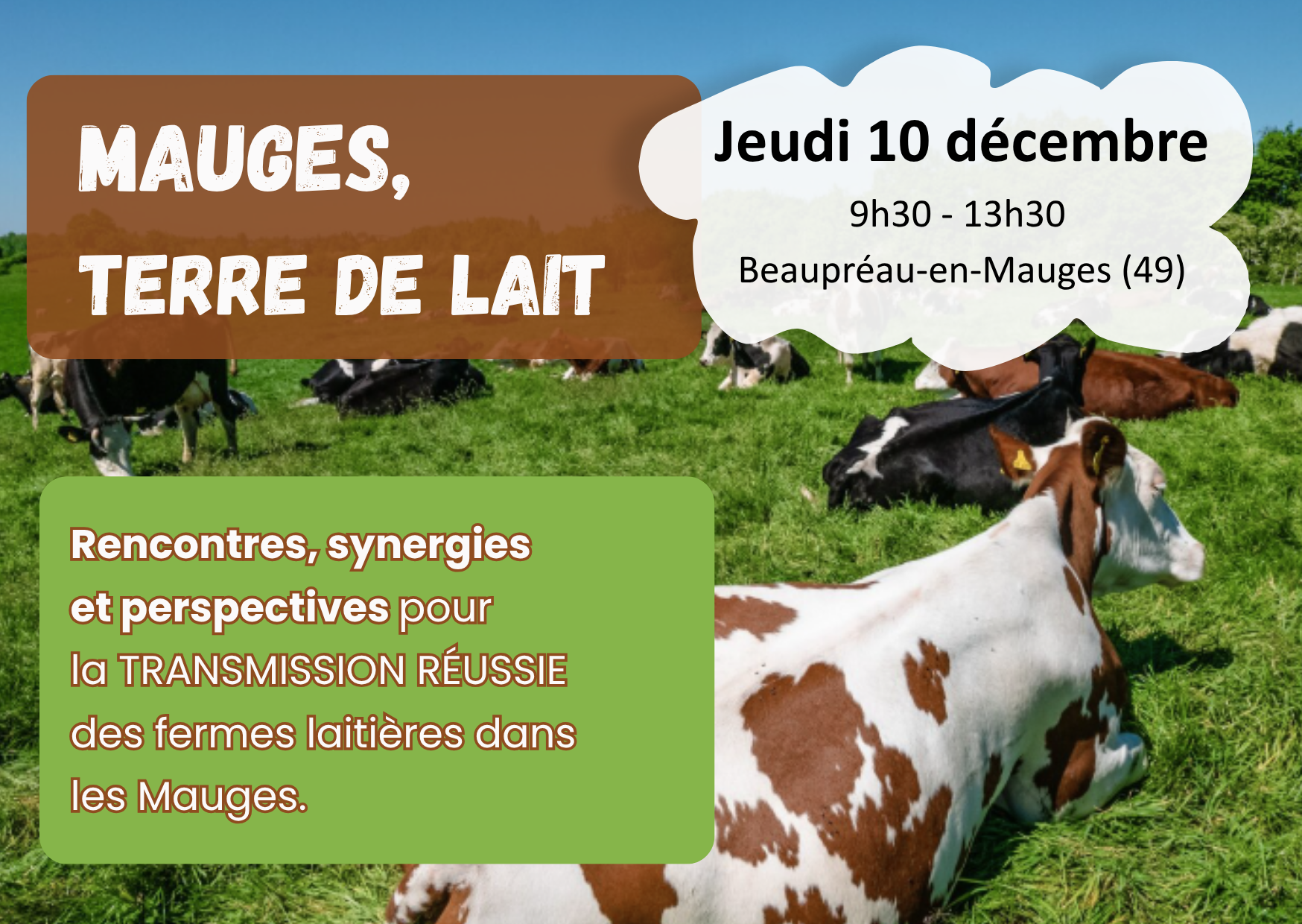 Le GABB Anjou organise Mauge Terre de Lait, le rendez-vous transmission de la filière lait bio dans les Mauges le 10 décembre 2026