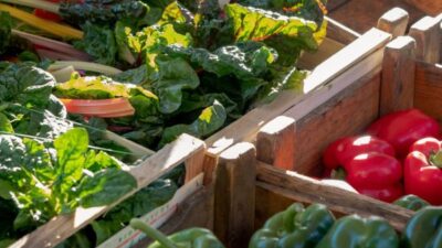 légumes sur un marché