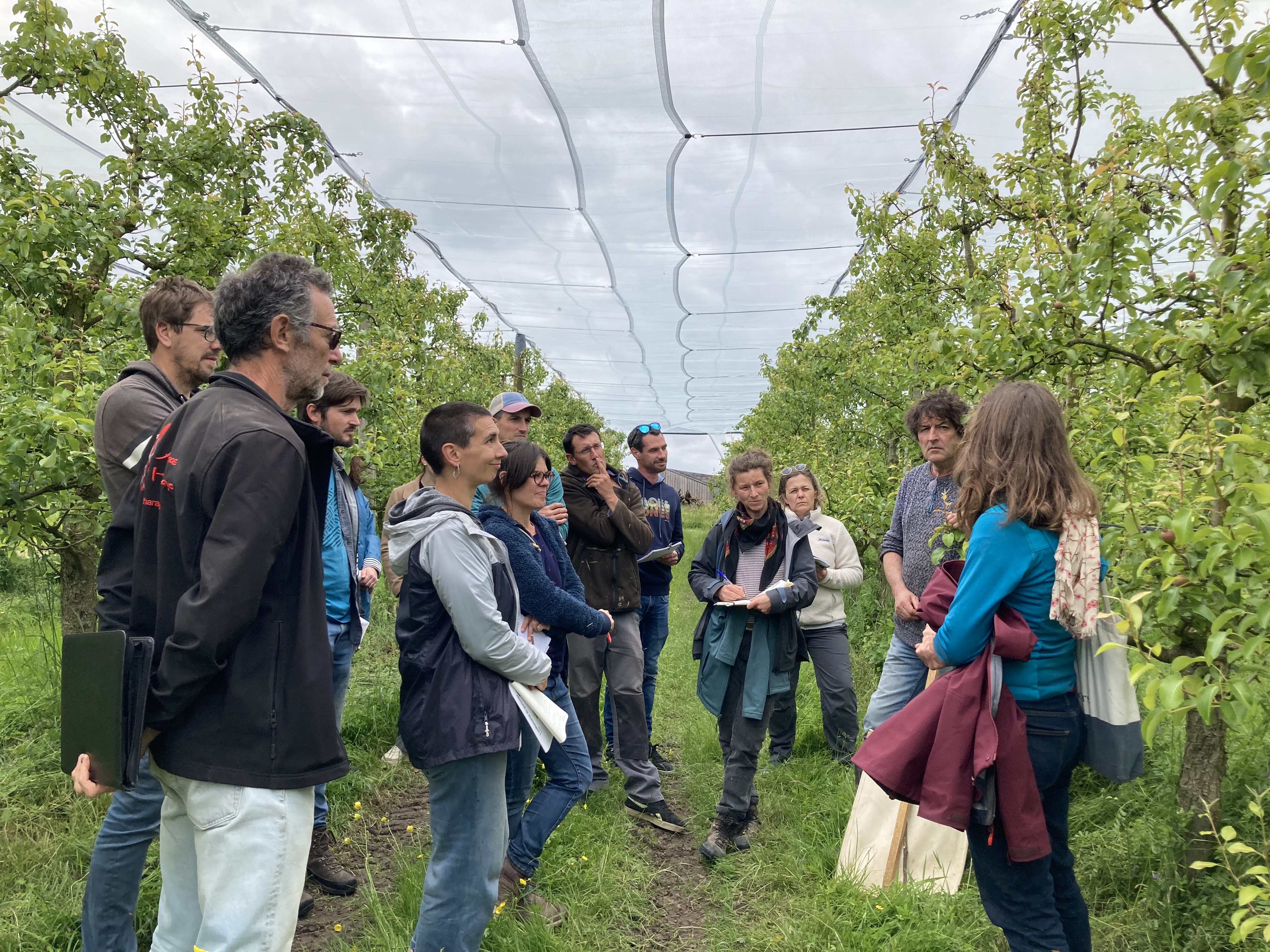 Des productrices et des producteurs bio visitent une parcelle dans le cadre du groupe d'échanges arboriculture biodiversifiée du GABB Anjou