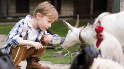 enfant dans une ferme bio