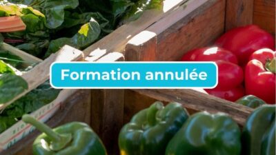 formation annulée circuits courts
