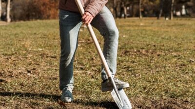 premier coup de pelle, installation agricole après 40 ans