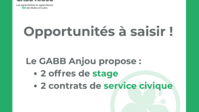 Le gabb recrute