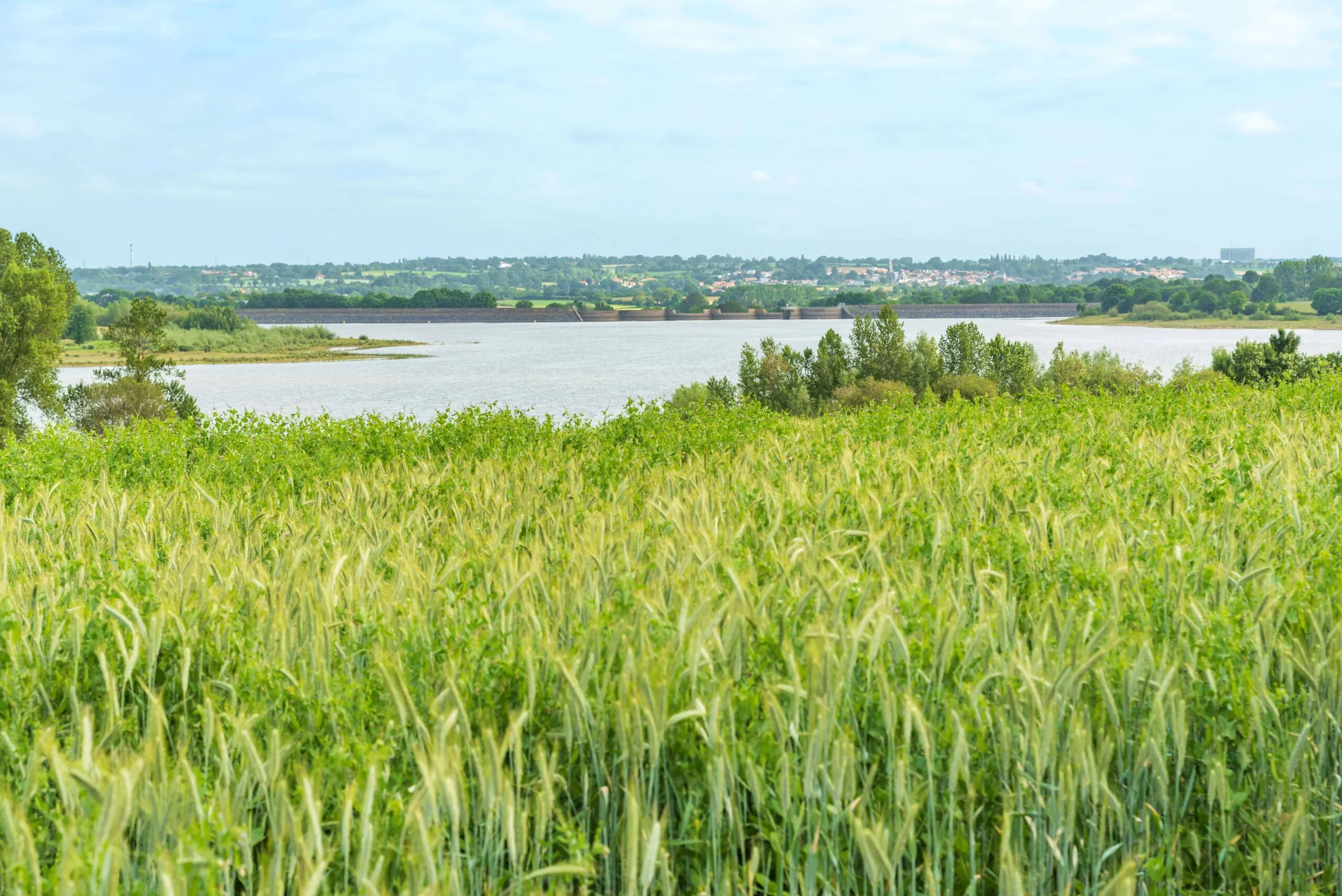 paysage choletais