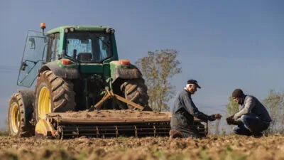 Jeune repreneur agricole et son cédant dans un champ cultivé en agriculture biologique.