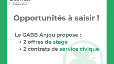 Le gabb recrute