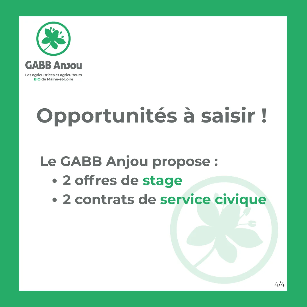 Le gabb recrute